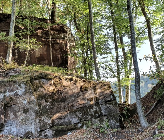 Felsen in Brecht, © TI Bitburger Land, Steffi Wagner