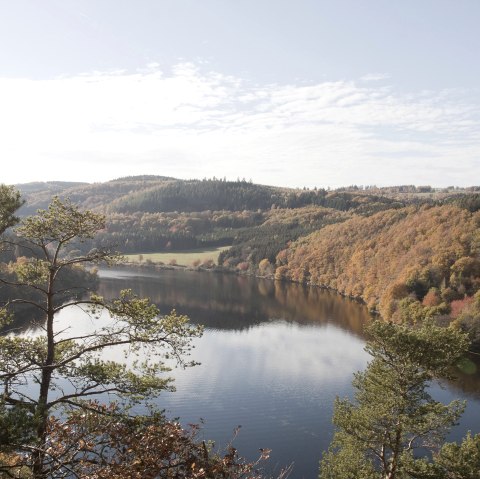 Jägersweiler im Nationalpark Eifel, © Nationalpark Eifel - Dr. A. Pardey