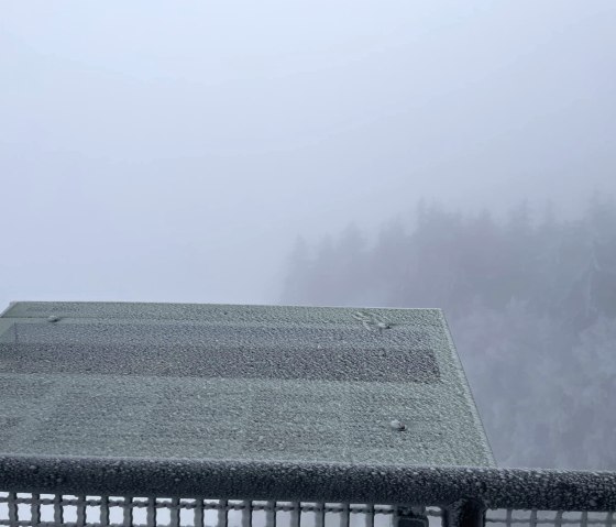 gerfrierender Nebel am Weißen Stein, © Hotel Schröder