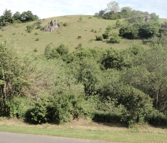 Mühlenberg gegenüber liegend