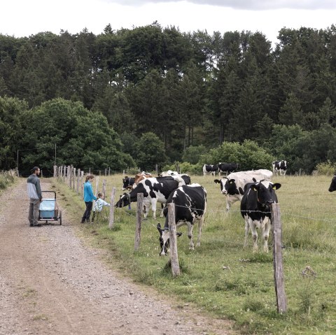 Milchweg Kall, © Eifel Tourismus GmbH, Tobias Vollmer - finanziert durch REACT-EU