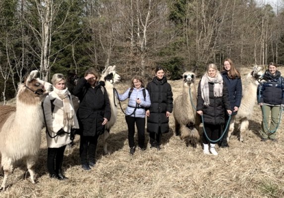 Junggesellinnenabschied mit Lamas: Herbstwanderung