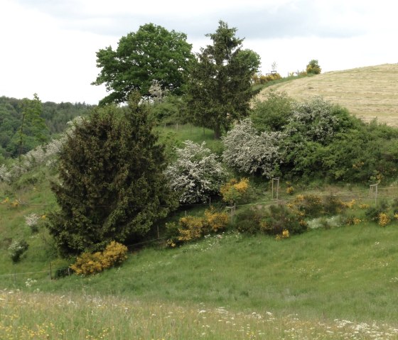 Natur Winkel