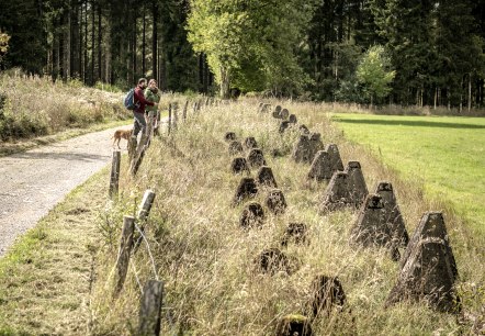 Panzersperren an der Eifelspur Westwall, © Eifel Tourismus GmbH, Dominik Ketz - finanziert durch REACT-EU