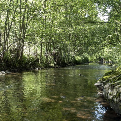 Wanderweg Nr. 3, © CUBE Volker Teuschler