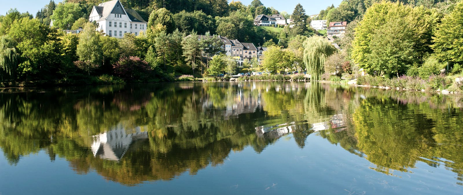 Schwanenweiher Blankenheim, EifelSpur Wo die Ahr entspringt, © Eifel Tourismus GmbH, Dominik Ketz