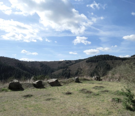 Ausblick auf die umliegenden Wälder, © Foto: Svenja Schulze-Entrup, Quelle: Touristik-Büro Vordereifel