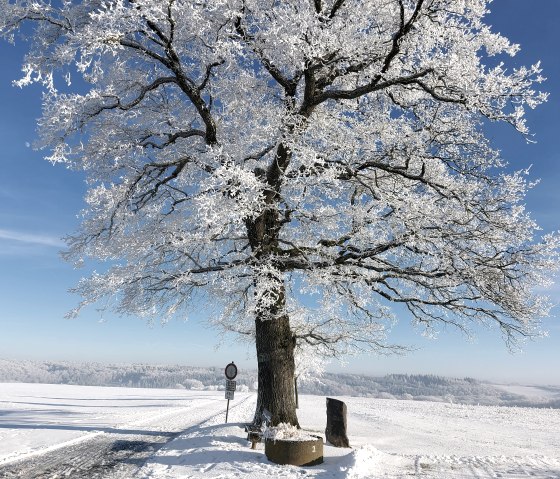 winter, © Yvonne Clemens-Cihlars