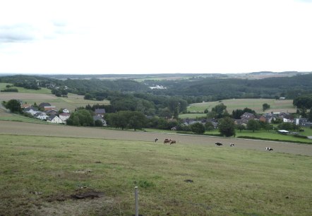 Eifel-Blick "Schafsbenden", © Rureifel-Tourismus e.V.