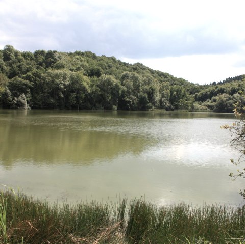 Immerather Maar, © Gesundland Vulkaneifel GmbH