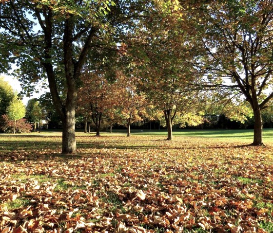 Stadtpark Landschaft, © Werner Pelm