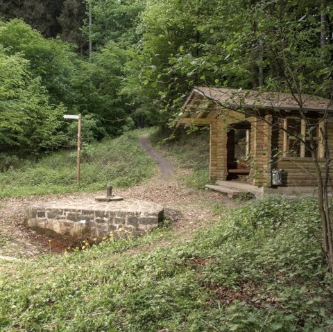 Dockweiler Drees, © Natur- und Geopark Vulkaneifel