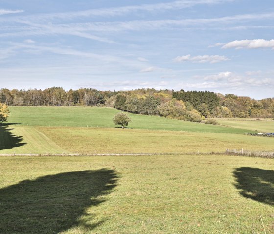 Lanschaft hinter dem Haus 2, © Nordeifel Tourismus GmbH & Hotel Schönblick