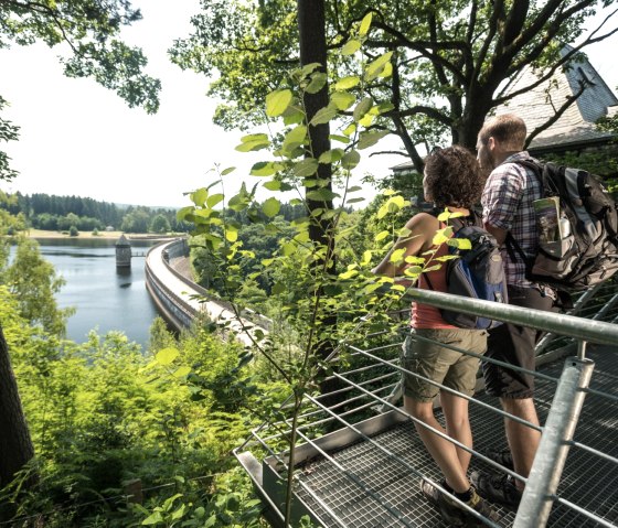 Wanderrast mit Aussicht auf die Dreilägerbachtalsperre, © Eifel Tourismus GmbH/D. Ketz