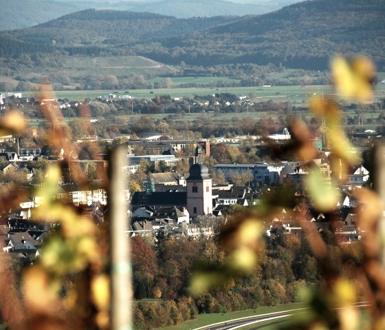 Wittlicher Weinberge mit Blick auf St. Markus, © Tourist Information Wittlich Stadt & Land