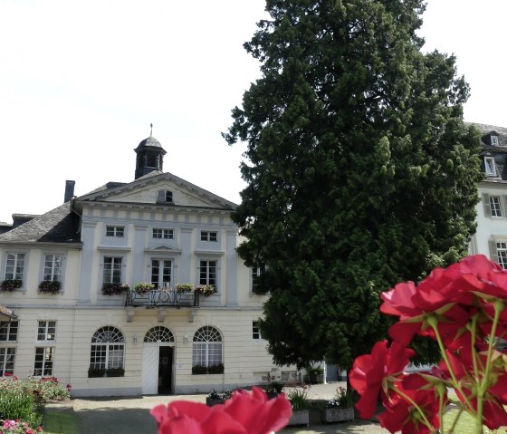 Kurfürstliches Schlößchen Bad Bertrich_Lebensbaum, © GesundLand Vulkaneifel GmbH