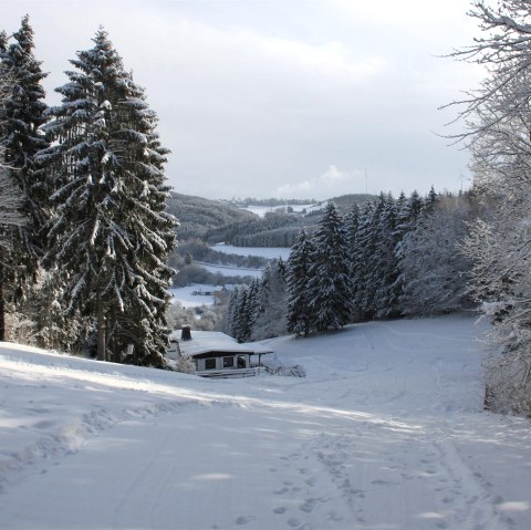 Blick Skipiste Wolfsschlucht (oberer Teil), © Tourist-Information Prümer Land (Archivfoto)