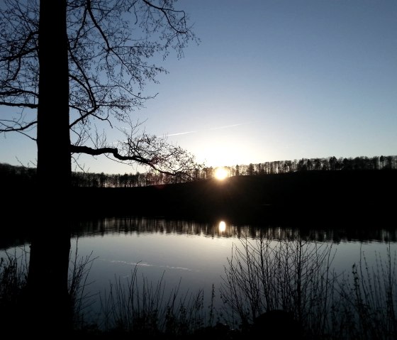 Pulvermaar in der Abendsonne, © Martina Schenk