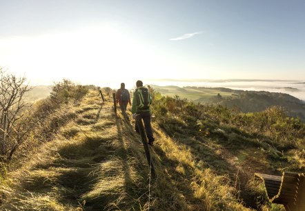 Naturerlebnis Eifel, Wandern in der Morgensonne, © Eifel Tourismus GmbH, D. Ketz