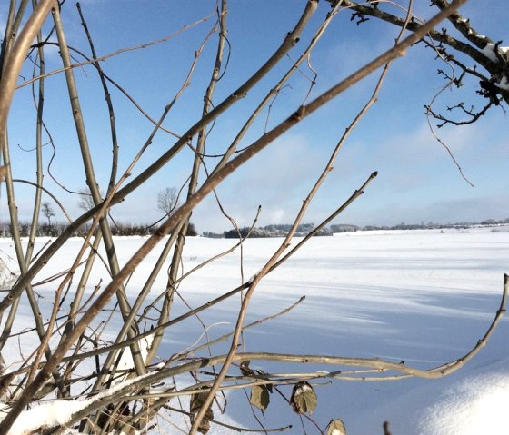 Winterlandschaft, © Alice Schares