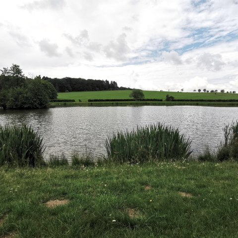 Dreiser Weiher, © GesundLand Vulkaneifel GmbH