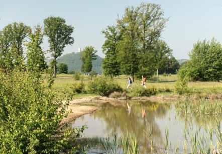 Wandern am Rodder Maar, Burg Olbrück im Hintergrund, © Eifel Tourismus GmbH, D. Ketz