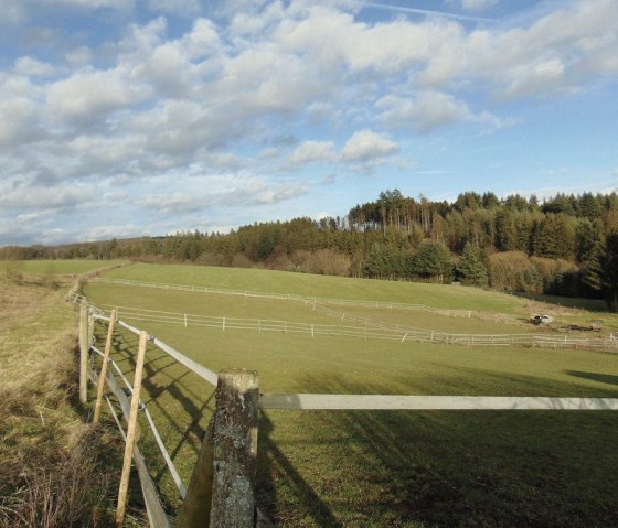 Der Blick in die angrenzende Landschaft