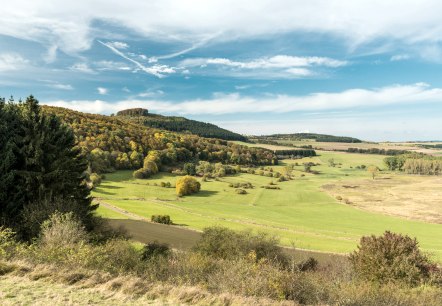 Dreiser Weiher am Wanderweg Vulkangipfel-Pfad, © Eifel Tourismus GmbH - D. Ketz