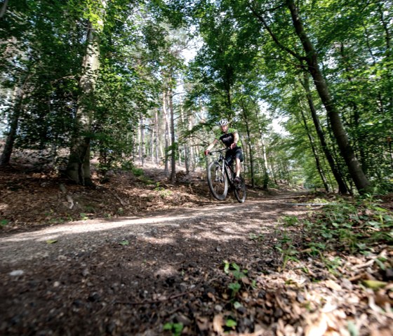 MTB-Tour Freifahrt Eifel, © some.oner