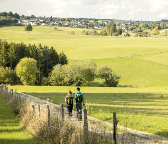 Wandern auf der EifelSchleife Adlerblick, © Eifel Tourismus GmbH, Dominik Ketz