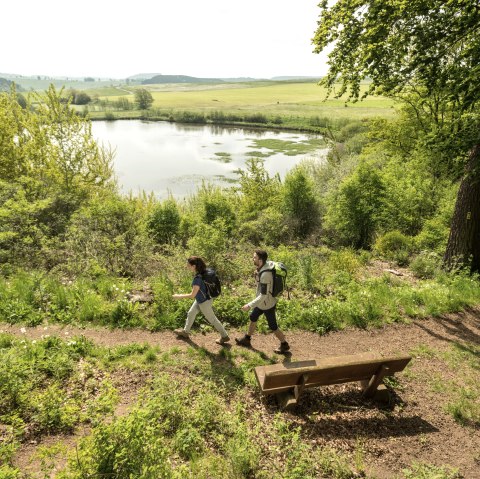 Wandern Eichholzmaar, © Eifel Tourismus GmbH, Dominik Ketz