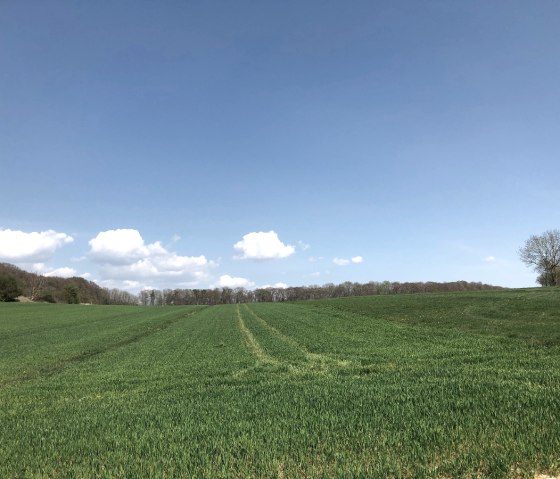 Natur pur auf der Radtour "Stadt-Land-Fluss", © Tourist-Information Bitburger Land_Uschi Hallet