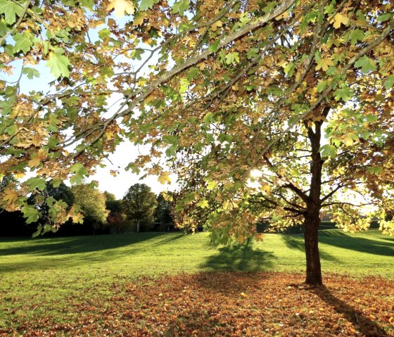 Stadtpark, © Werner Pelm