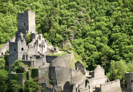 Wanderweg Manderscheider Burgenstieg: Niederburg, © Rheinland-Pfalz Tourismus GmbH - D. Ketz