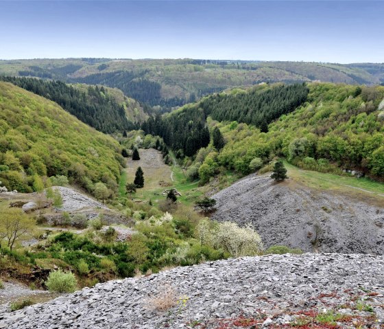 Blick auf die Herrenwiese, © Schieferland Kaisersesch