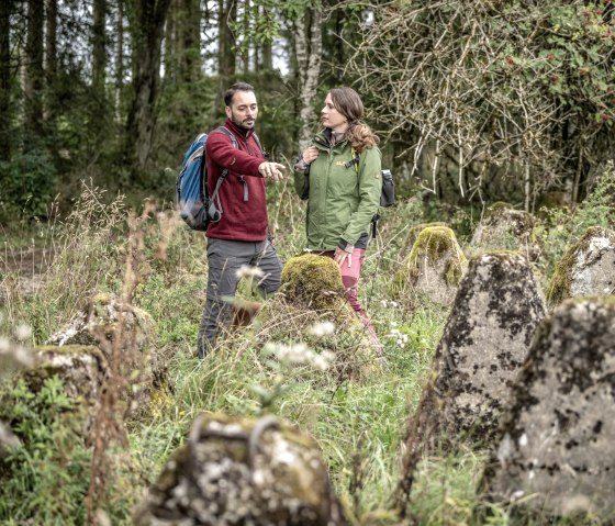 Panzersperren bei Hollerath, Eifelspur Westwall, © Eifel Tourismus GmbH, Dominik Ketz - finanziert durch REACT-EU