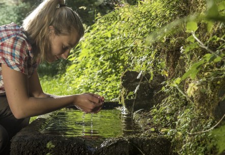 Maischquelle Wasser, © Natur- und Geopark Vulkaneifel/K.-P. Kappest