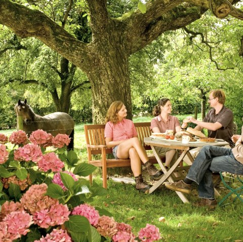 Landurlaub Eifel genießen, © Eifel Tourismus GmbH/D. Ketz