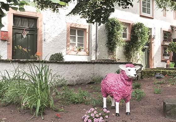 Ferienwohnung Zum Pinken Schaf
