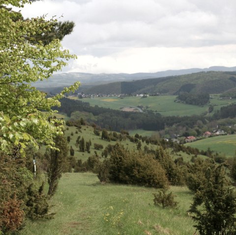 blick-auf-niederehe, © esther-erharter-tourist-information-gerolsteiner-land