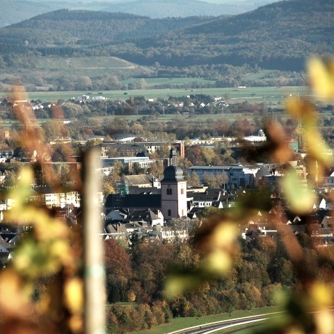 Wittlicher Weinberge mit Blick auf St. Markus, © Tourist Information Wittlich Stadt & Land