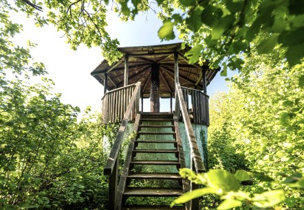 Aussichtsturm, © GesundLand Vulkaneifel GmbH