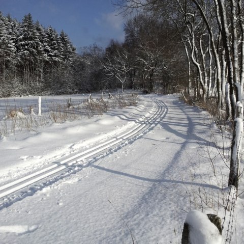 Loipe in Wahlerscheid, © Monschau-Touristik