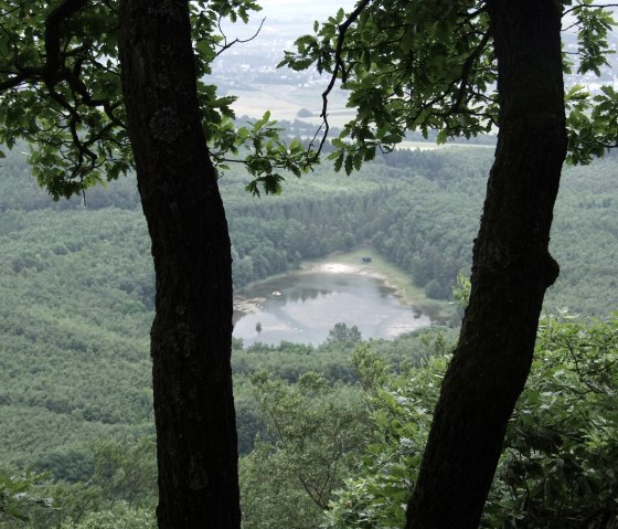 Krufter Waldsee, © VG Pellenz/Manea