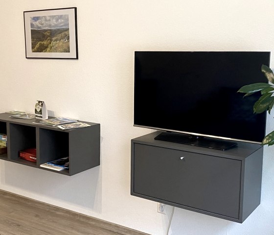 Wohnzimmer/Fernsehzimmer