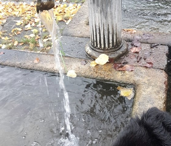 Brunnenwasser, © Tourist-Information Wittlich Stadt & Land