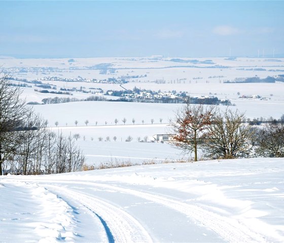 Maifeld - Winter