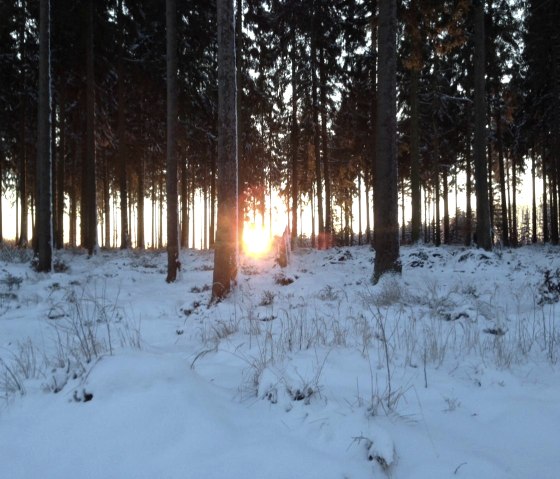 Sonnenaufgang im Nationalpark Eifel, © Nordeifel Tourismus GmbH & kph