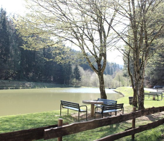 Stausee Trittscheid um die Ecke/Angelmöglichkeit, © Martina Schenk