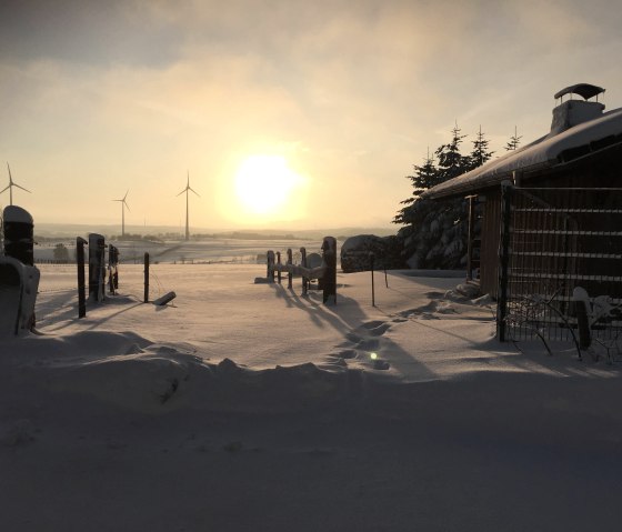 Sonnenaufgang Winter, © Nordeifel Tourismus GmbH & Gästehaus Jütten